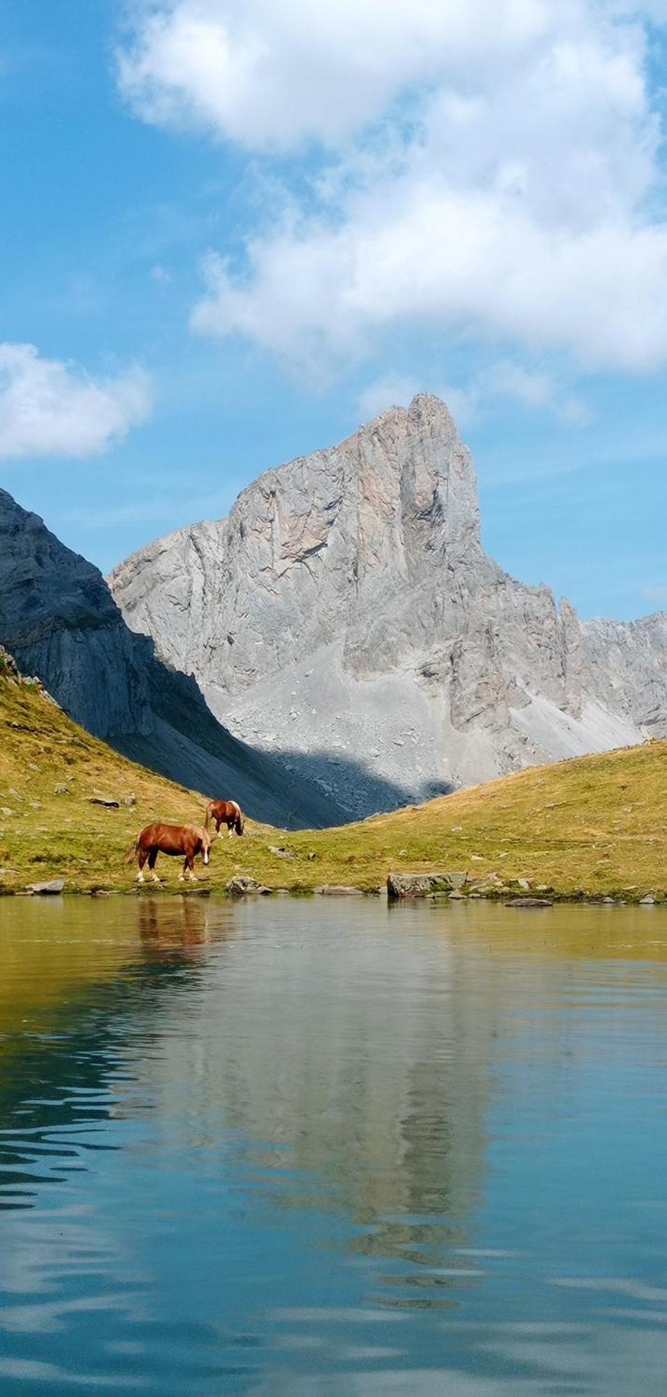 Logement Entier Dans Un Ecrin De Verdure Bidos Экстерьер фото